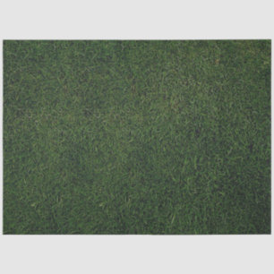 Papel De Seda Fondo de hierba verde