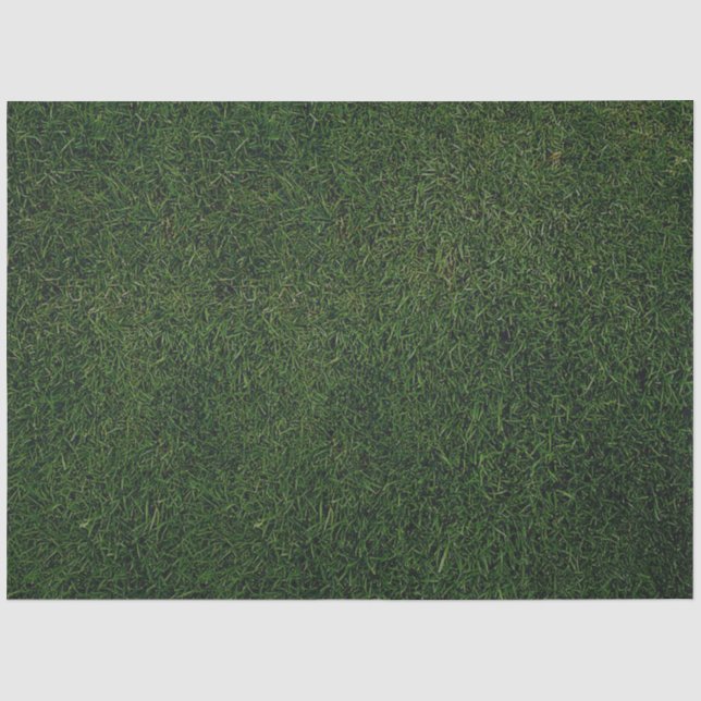 Papel De Seda Fondo de hierba verde (Anverso)
