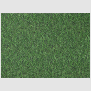 Papel De Seda Fondo de hierba verde