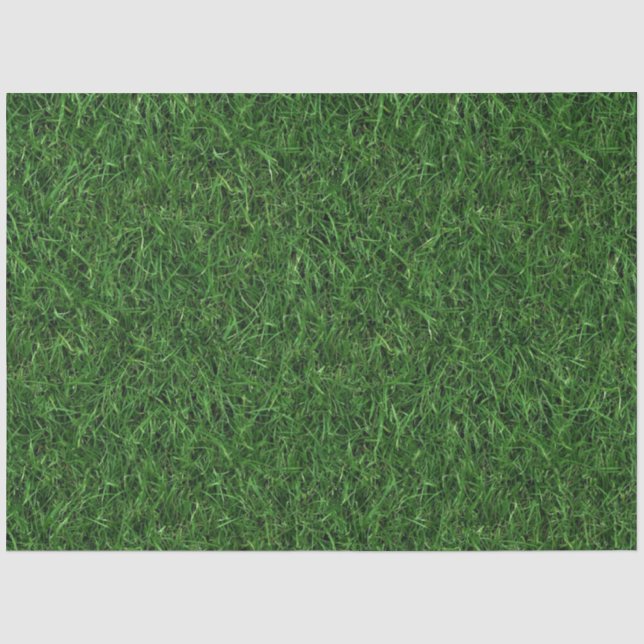 Papel De Seda Fondo de hierba verde (Anverso)