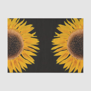 Papel De Seda Fondo negro simétrico del amarillo del girasol