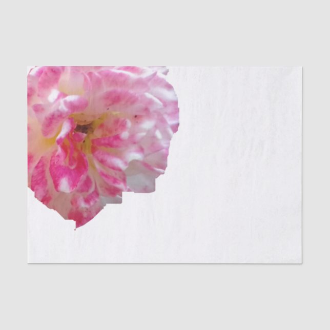 Papel De Seda Fondo plano floral (Anverso)