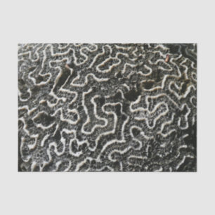 Papel De Seda Foto abstracta de la naturaleza Coral negro y blan