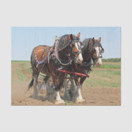 Papel De Seda Foto agrícola de Horse Clydesdale