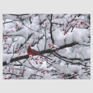 Papel De Seda Foto Cardinal del árbol de nieve