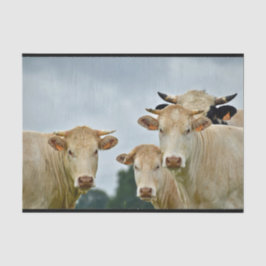 Papel De Seda Foto de animales de granja Tan vacas