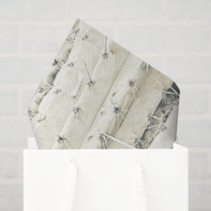 Papel De Seda Foto de Cactus Art Moda Neutral Desierto Moderno