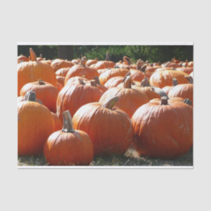 Papel De Seda Foto de calabazas para otoño, Halloween o Día de A