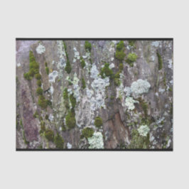 Papel De Seda Foto de camuflaje de Nature Moss Lichen