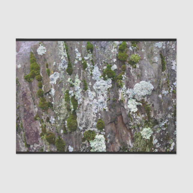 Papel De Seda Foto de camuflaje de Nature Moss Lichen (Anverso)