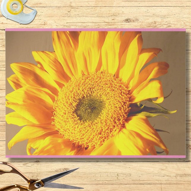 Papel De Seda Foto de girasol (Subido por el creador)