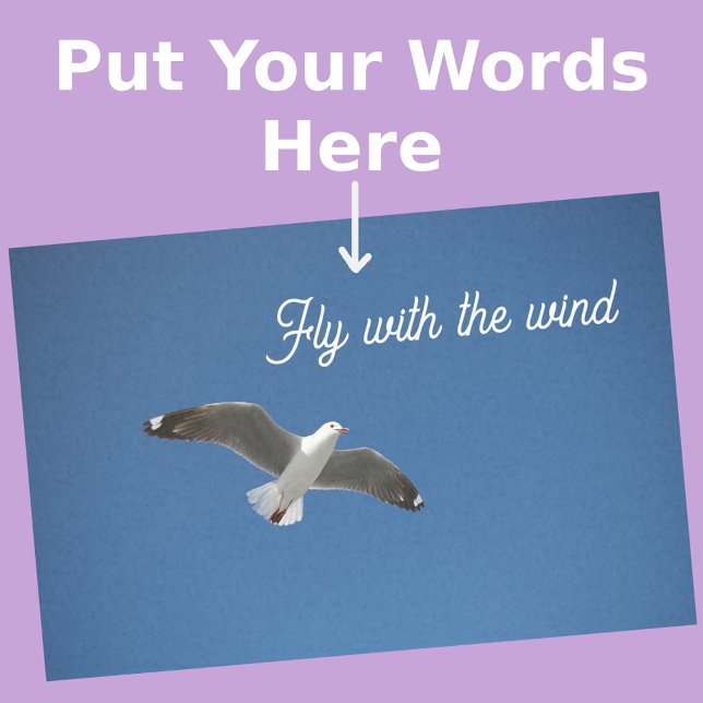 Papel De Seda Foto de inspiración azul grisáceo blanco de gaviot (Front View)