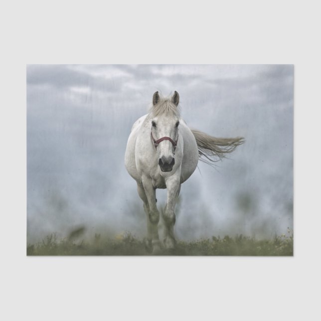 Papel De Seda Foto de la nube de caballos blancos de bonito (Anverso)