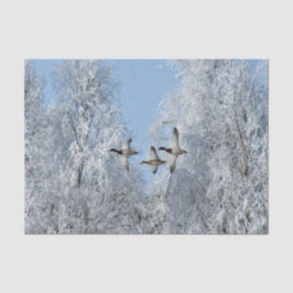 Papel De Seda Foto de Nieve Voladora De Patos Mallard