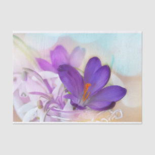 Papel De Seda Foto de un crocus de Primavera Púrpura de Bonito