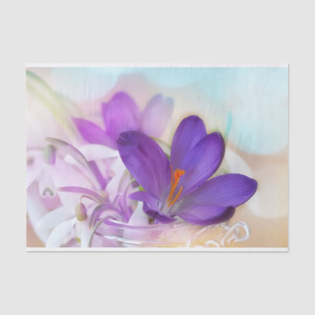Papel De Seda Foto de un crocus de Primavera Púrpura de Bonito (Anverso)
