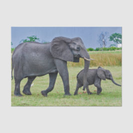 Papel De Seda Foto de Wildlife Elephant Calf
