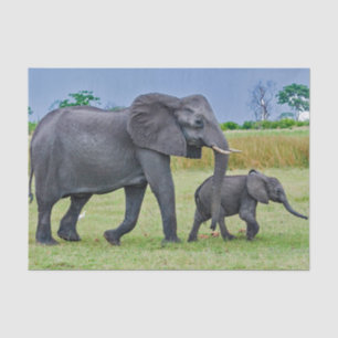 Papel De Seda Foto de Wildlife Elephant Calf