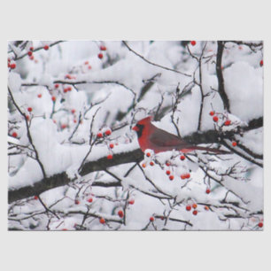 Papel De Seda Foto del árbol de nieve del cardenal rojo