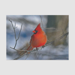 Papel De Seda Foto del Cardenal Red Winter