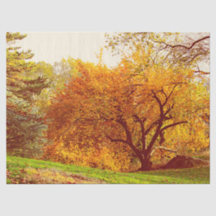 Papel De Seda Foto del paisaje del otoño de la caída del Central