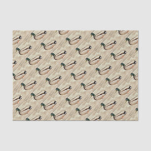 Papel De Seda Foto del pato del pato silvestre
