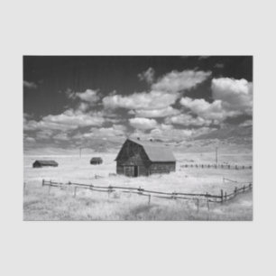 Papel De Seda Foto en blanco y negro de graneros en un campo de