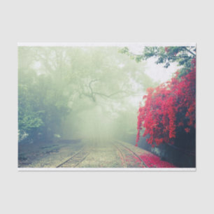 Papel De Seda Foto escénica de Misty Railroad Tracks