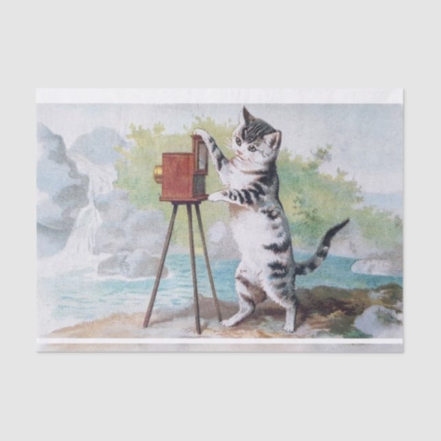 Papel De Seda Fotógrafa de gatos ・ Helena Maguire (1860-1909) (Anverso)
