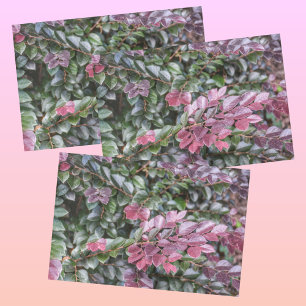 Papel De Seda Fotografía botánica del follaje verde rosado púrpu