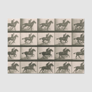 Papel De Seda Fotografía de cosecha de caballos en movimiento