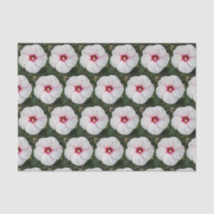 Papel De Seda Fotografía de Hibisco Blanco Detallada