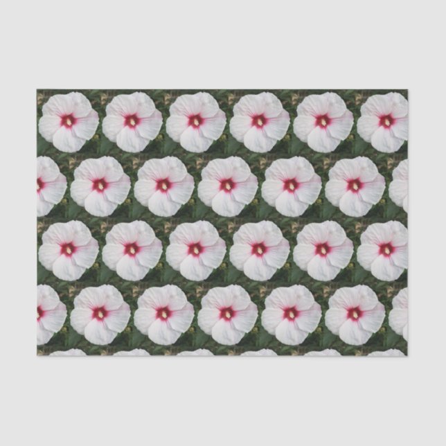 Papel De Seda Fotografía de Hibisco Blanco Detallada (Anverso)