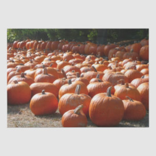 Papel De Seda Fotografía de la cosecha de otoño en el parche de