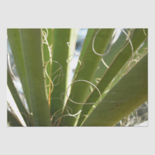 Papel De Seda Fotografía de la naturaleza de hojas de yuca verde