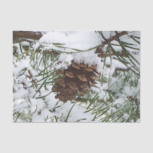 Papel De Seda Fotografía de la naturaleza de la nieve de Pine Co