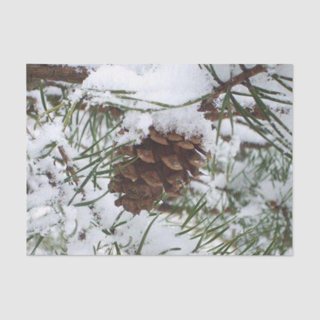 Papel De Seda Fotografía de la naturaleza de la nieve de Pine Co (Anverso)