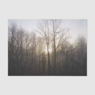 Papel De Seda Fotografía de la naturaleza del amanecer de niebla