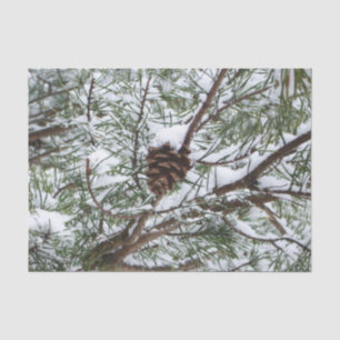 Papel De Seda Fotografía de Naturaleza Invernal Cono de Pino Nev