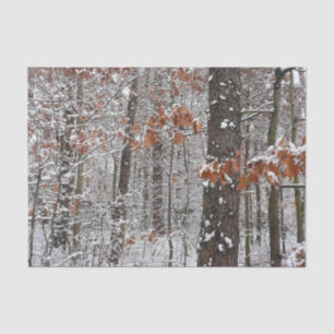 Papel De Seda Fotografía de naturaleza invernal de robles cubier