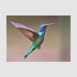 Papel De Seda Fotografía del colibrí verde de vida silvestre