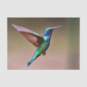 Papel De Seda Fotografía del colibrí verde de vida silvestre