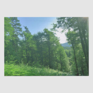 Papel De Seda Fotografía del paisaje de los bosques verdes