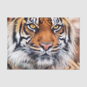 Papel De Seda Fotografía masculina de la pintura del tigre