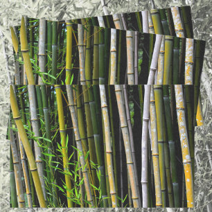 Papel De Seda Fotografía natural de Bambú Grove
