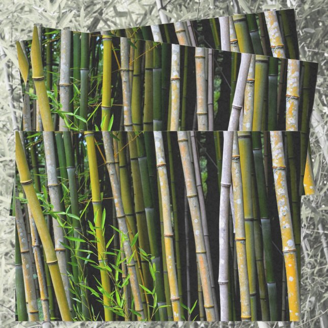 Papel De Seda Fotografía natural de Bambú Grove (Subido por el creador)