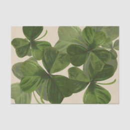 Papel De Seda Fotos botánicas del trébol en color de encargo