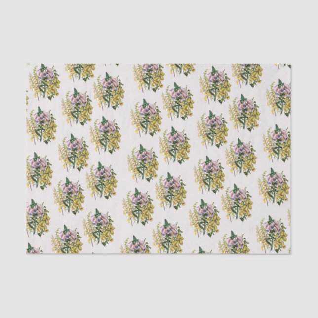 Papel De Seda Foxgantes (Anverso)