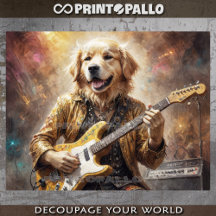 Freak Golden Retriever tocando guitarra en concier