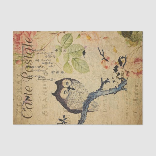Papel De Seda French Postcard Ephemera Owl Pink Roses Decoupage  (Anverso)